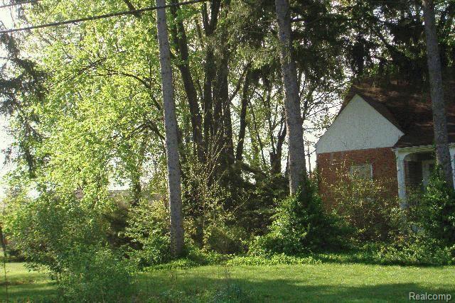 35590 Pound Road Richmond, MI 48062 - Photo 9 of 10 Yard 2