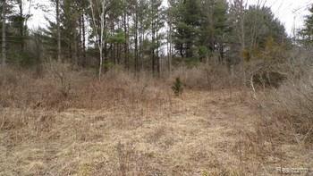 4815 Sanilac Road Vassar, MI 48768 - Photo 5 of 7 Gallery Image 5