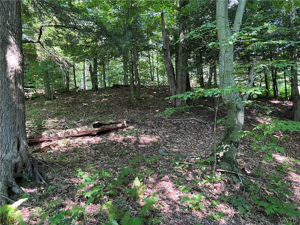 Center Road Lacona, NY 13083 - Photo 8 of 38