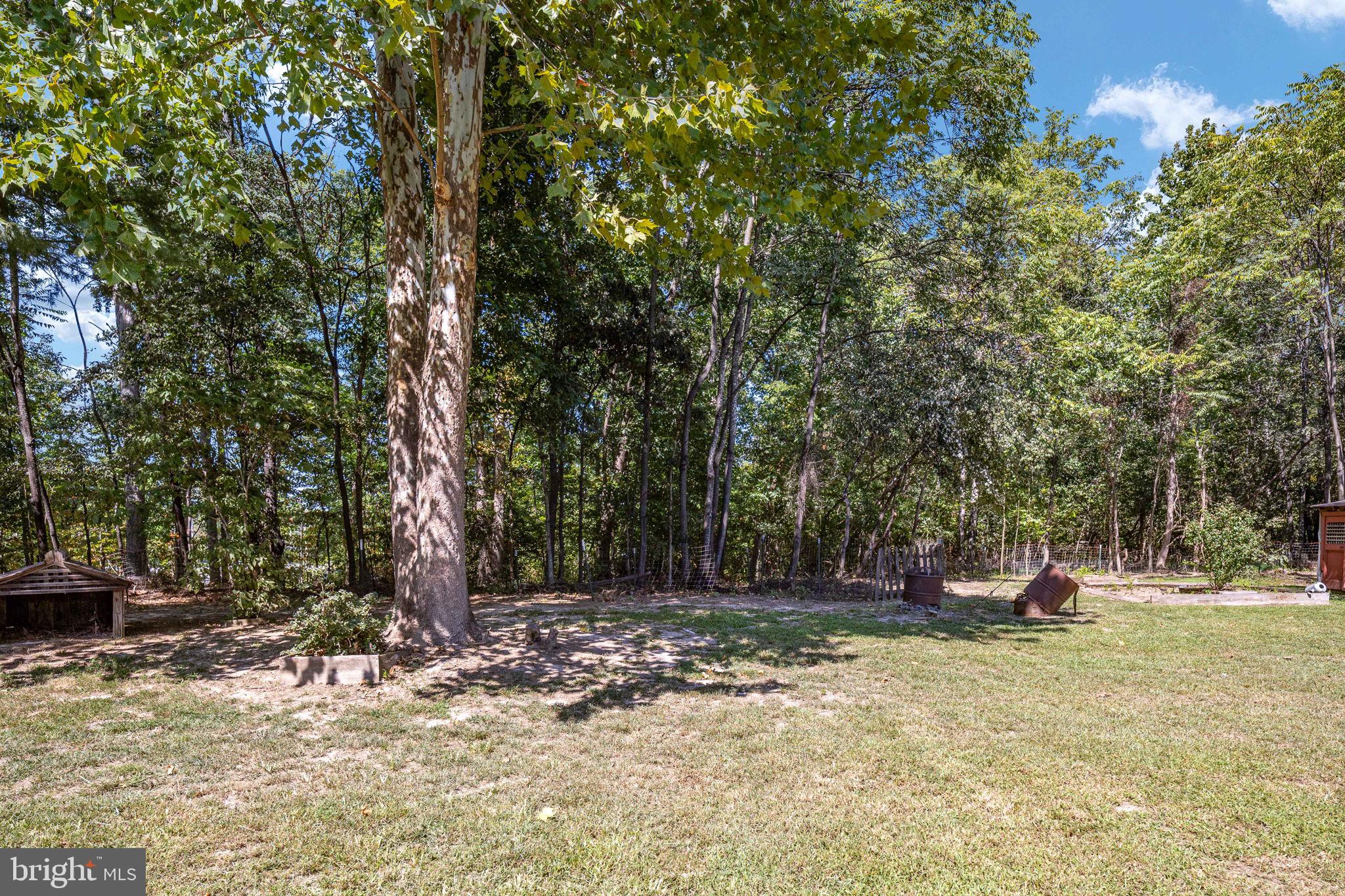478 Truslow Road Fredericksburg, VA 22405 - Photo 68 of 87 Back yard