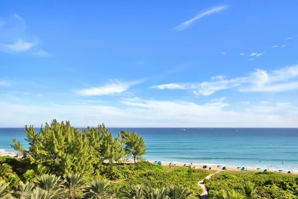 $5,500 | 145 South Ocean Avenue, Unit 808, Palm Beach Shores, FL 33404