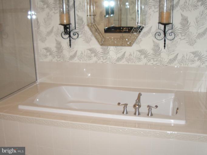 9199 Ribbon Falls Loop Bristow, VA 20136 - Photo 12 of 22 Bath (Master)