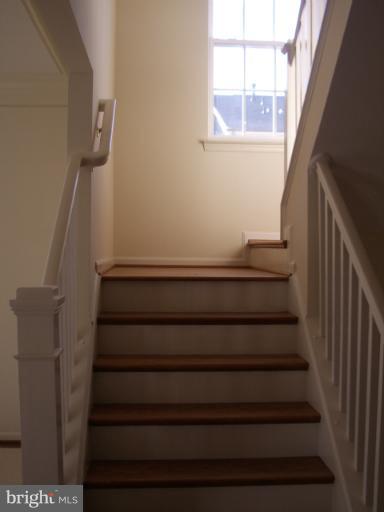 9199 Ribbon Falls Loop Bristow, VA 20136 - Photo 17 of 22 Interior (General)