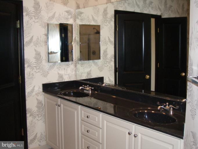 9199 Ribbon Falls Loop Bristow, VA 20136 - Photo 6 of 22 Bath (Master)