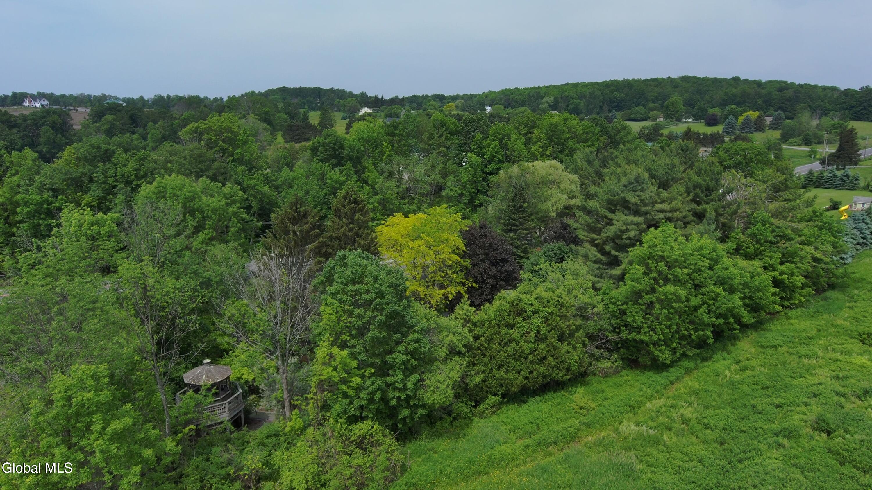 5214 Highway 145 Cobleskill, NY 12043 - Photo 49 of 55 2025_06_12__11_00_44_230_still