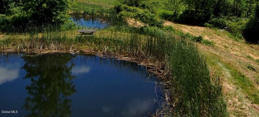 5214 Highway 145 Cobleskill, NY 12043 - Photo 50 of 55 Ponds