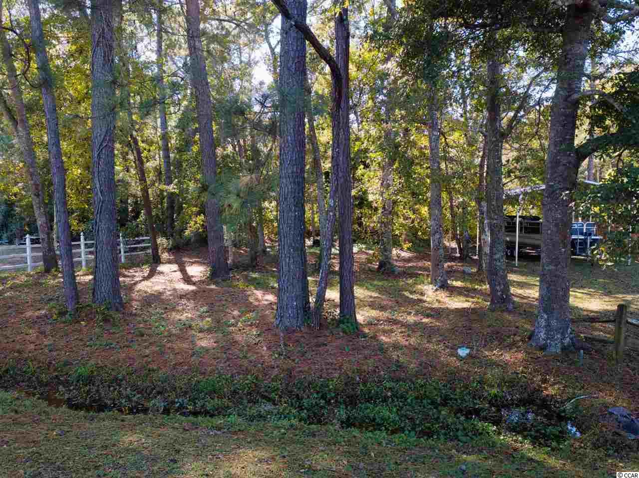 803 Pendergrass Avenue Murrells Inlet, SC 29576 - Photo 2 of 12