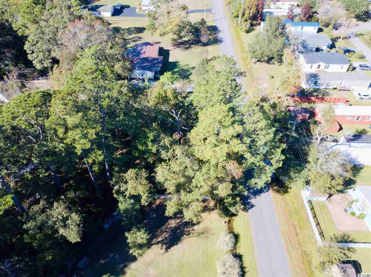 803 Pendergrass Avenue Murrells Inlet, SC 29576 - Photo 11 of 12