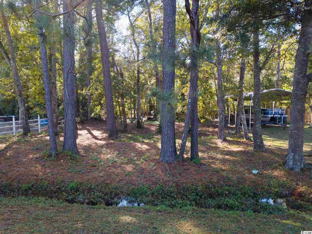 803 Pendergrass Avenue Murrells Inlet, SC 29576 - Photo 3 of 12