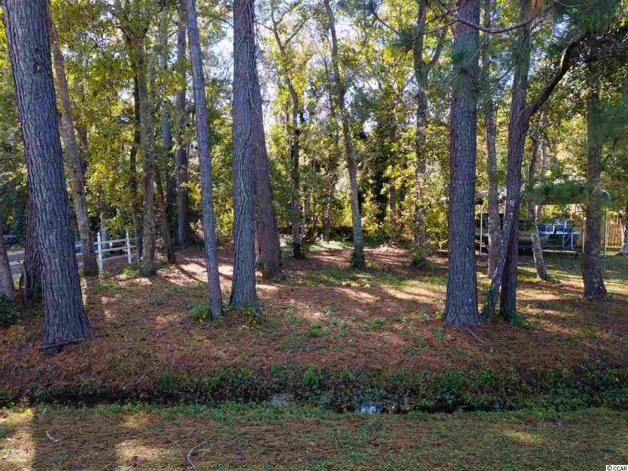 803 Pendergrass Avenue Murrells Inlet, SC 29576 - Photo 4 of 12