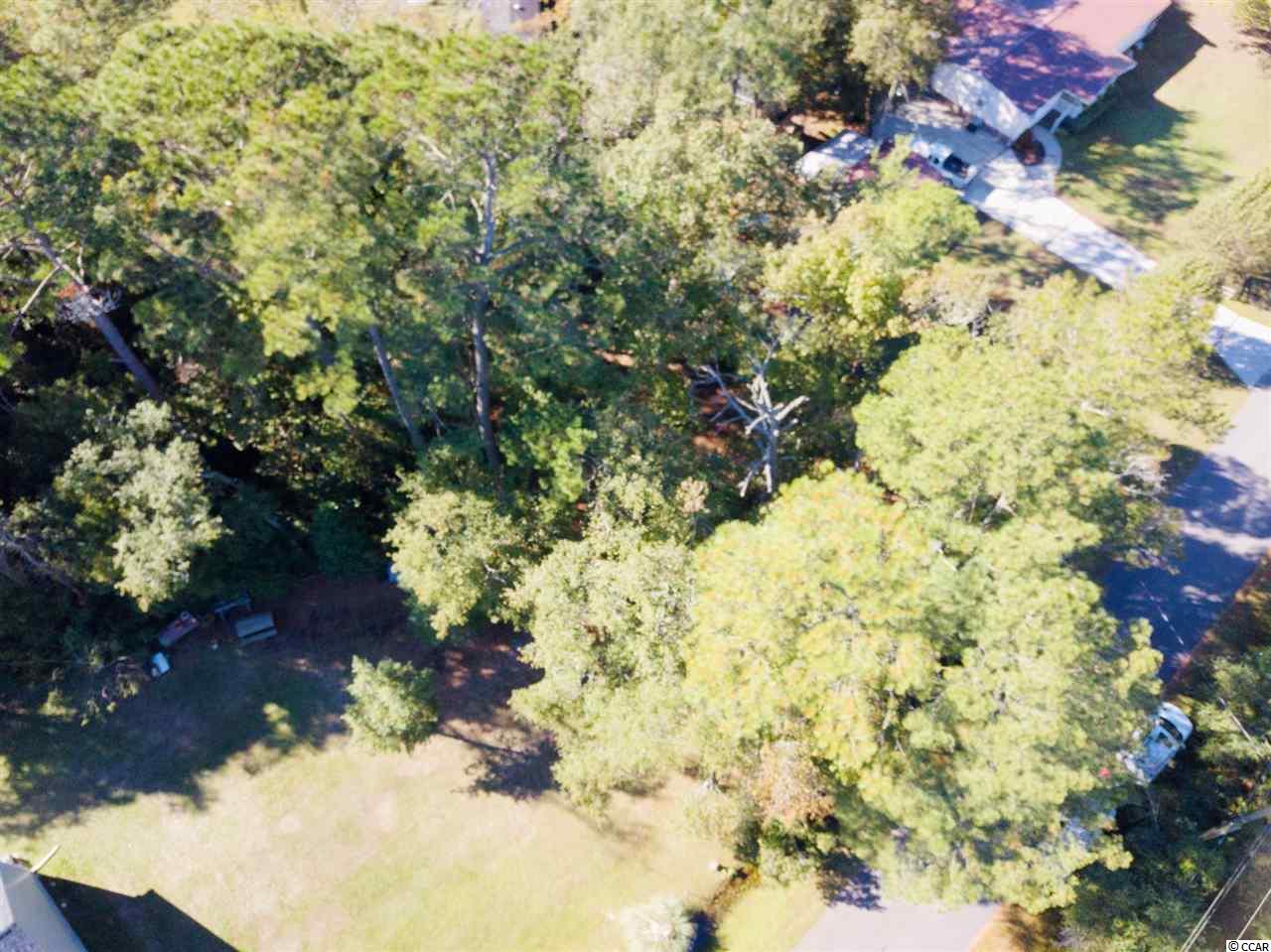 803 Pendergrass Avenue Murrells Inlet, SC 29576 - Photo 9 of 12