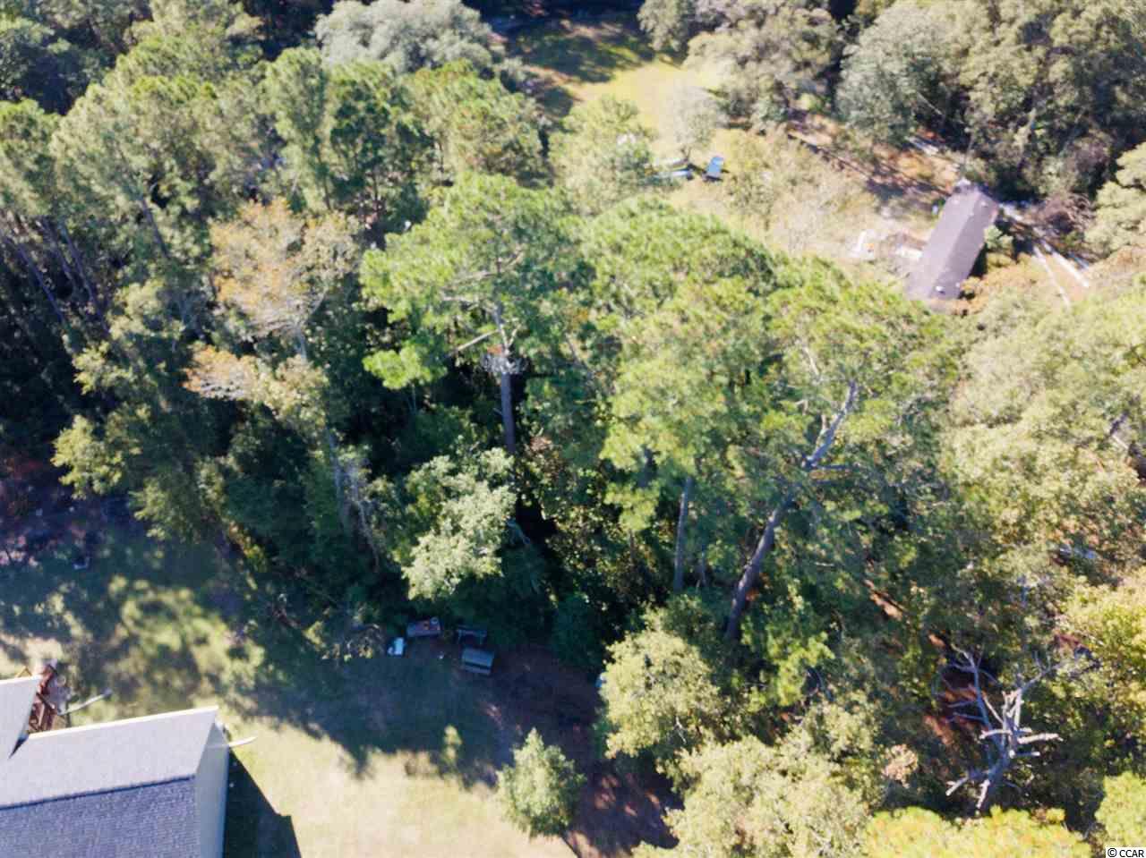 803 Pendergrass Avenue Murrells Inlet, SC 29576 - Photo 10 of 12