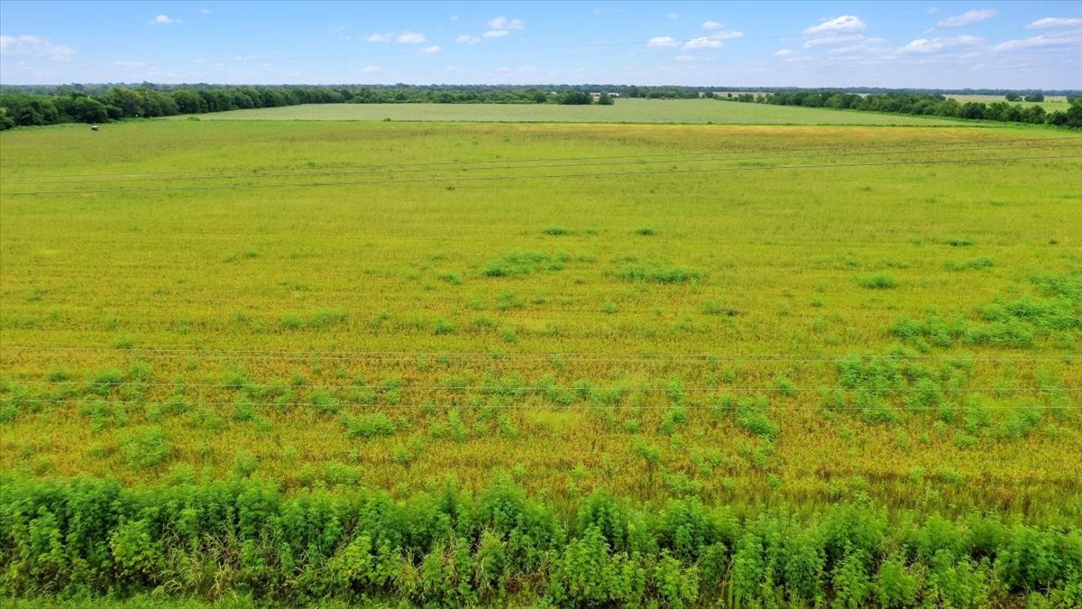 0 Old Boenisch Road Garwood, TX 77442 - Photo 2 of 9