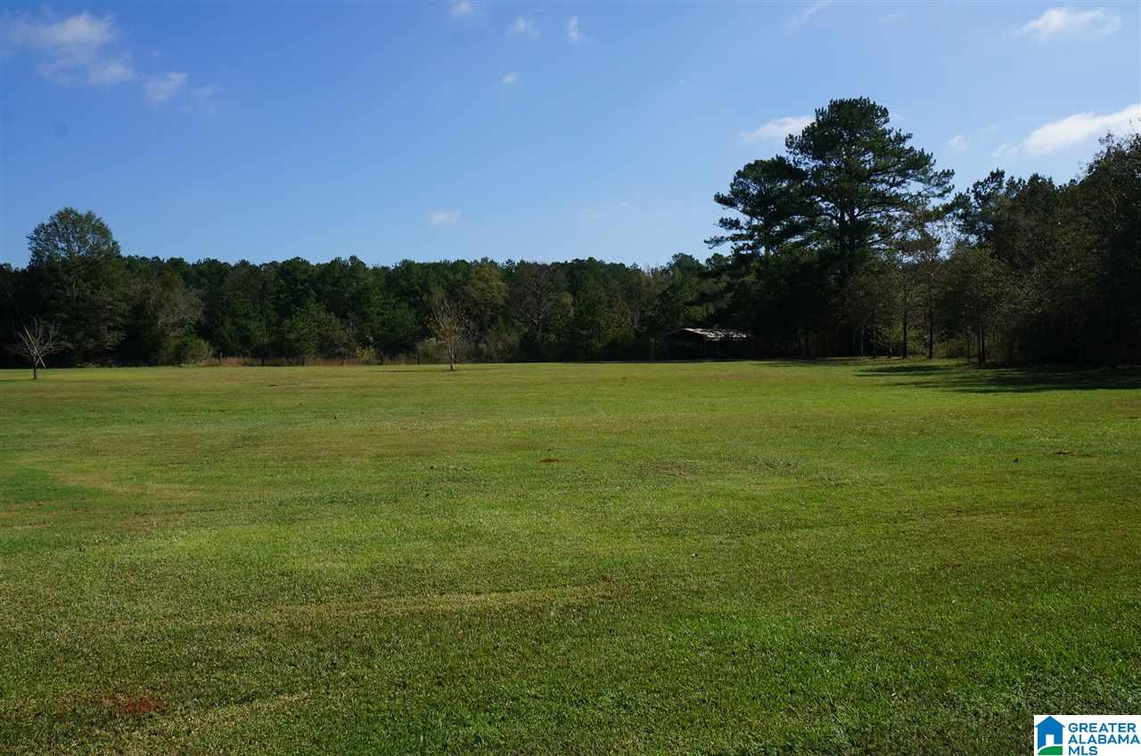 90 Rocky Mt Ch Road Sylacauga, AL 35150 - Photo 6 of 50