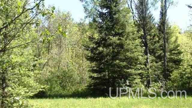 Tbd Brule River Alpha, MI 49902 - Photo 5 of 10