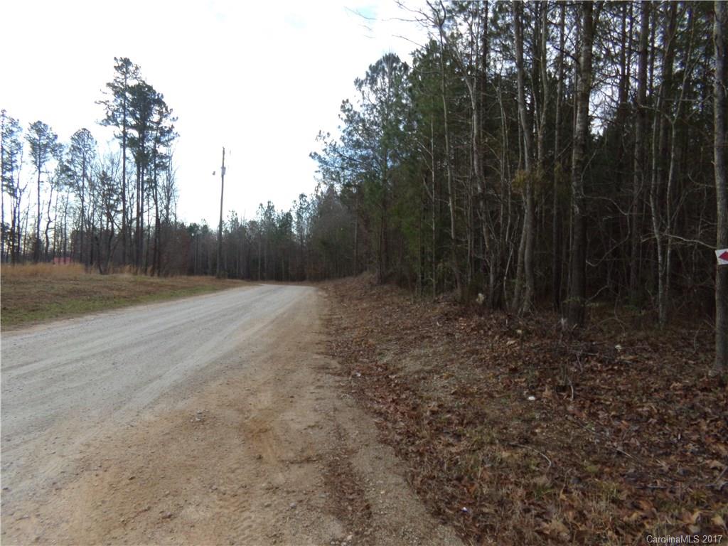 Tbd Tbd Landsford Road Pageland, SC 29728 - Photo 7 of 7 Gallery Image 7