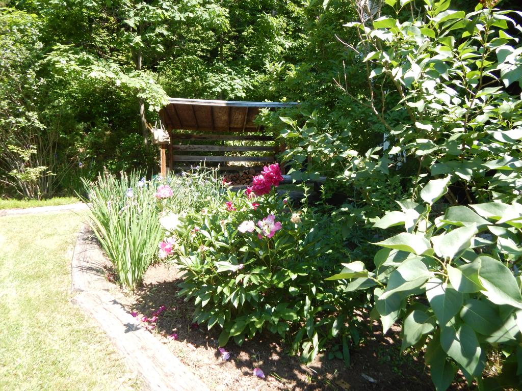 24 Ridgewood Hill Road Norwich, VT 05055 - Photo 16 of 26