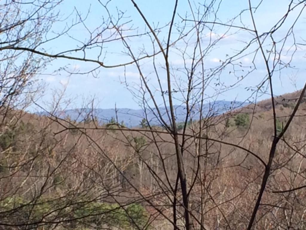 24 Ridgewood Hill Road Norwich, VT 05055 - Photo 24 of 26
