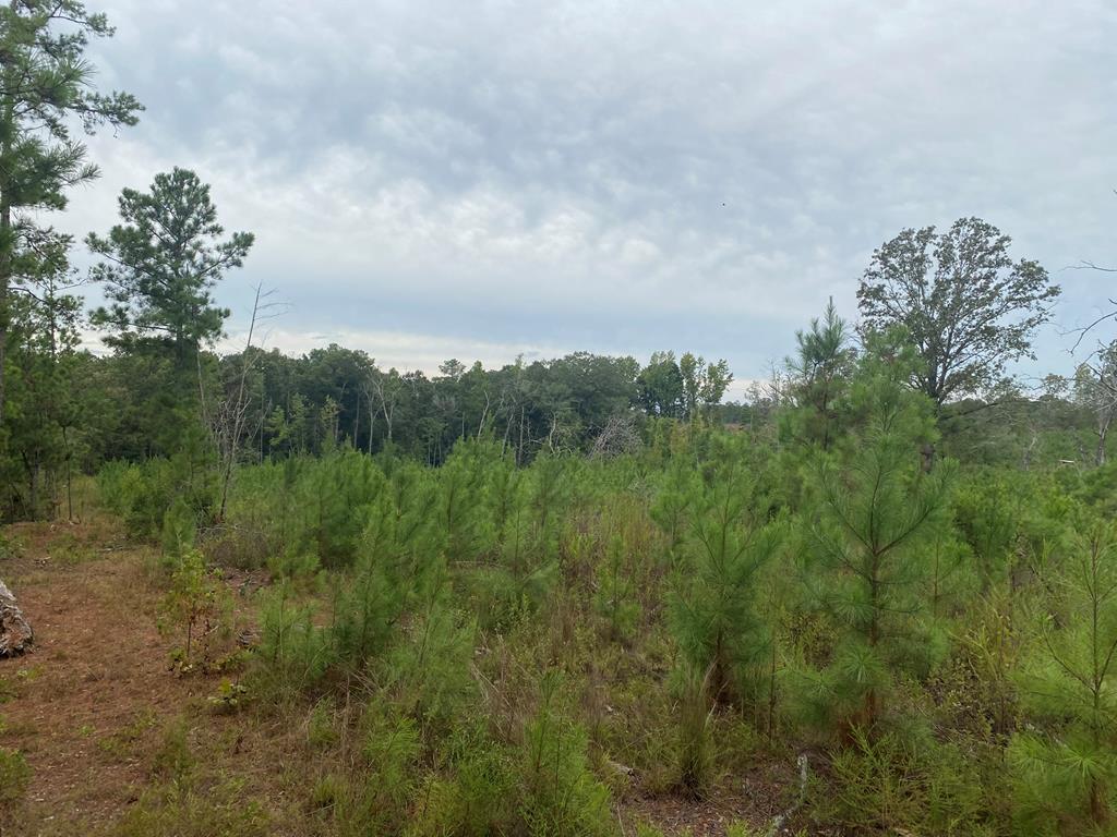 250 Adams Mill Road Clayton, AL 36016 - Photo 67 of 74