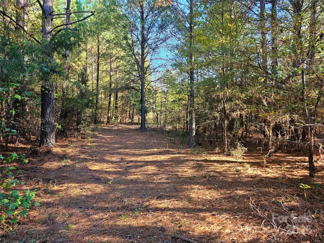 a view of outdoor space with trees