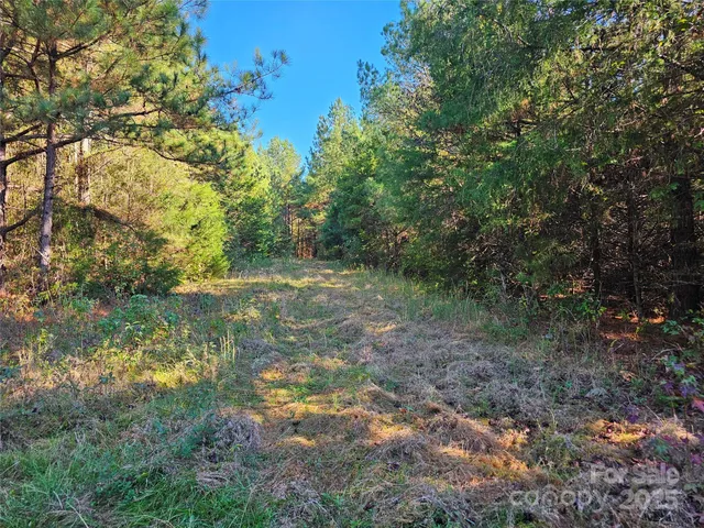 a view of a yard with a tree
