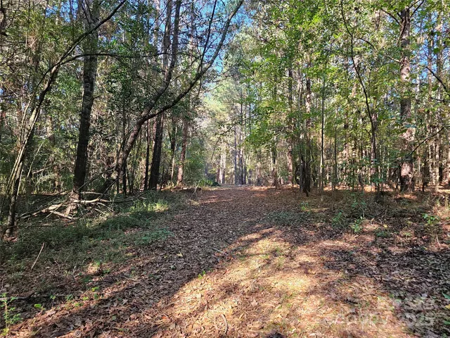 a view of outdoor space and trees