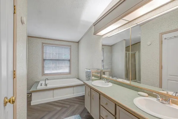 a bathroom with a sink and a bathtub