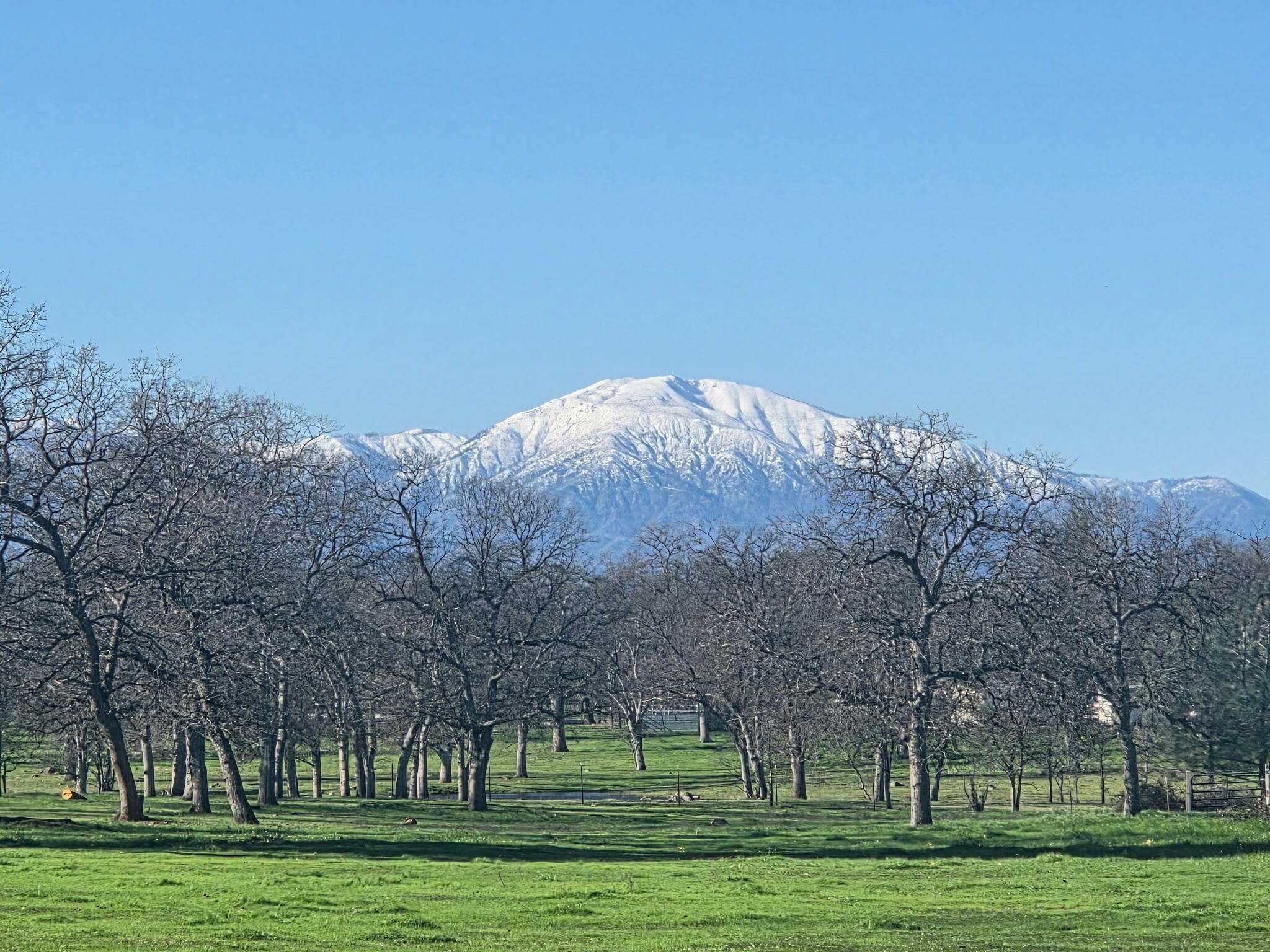 11670 Homestead Lane Redding, CA 96003 - Photo 2 of 41 1000044983