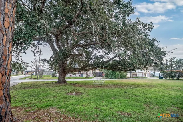 a view of a park with trees and grass