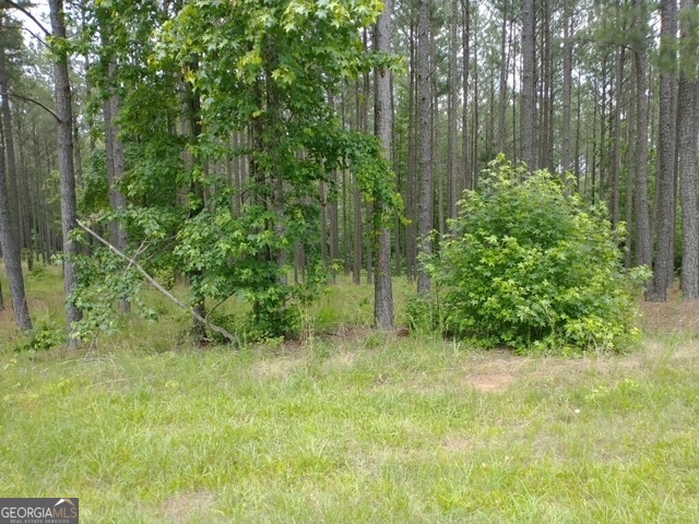 1088 Shelter Cove Road Lincolnton, GA 30817 - Photo 6 of 7 a view of a garden