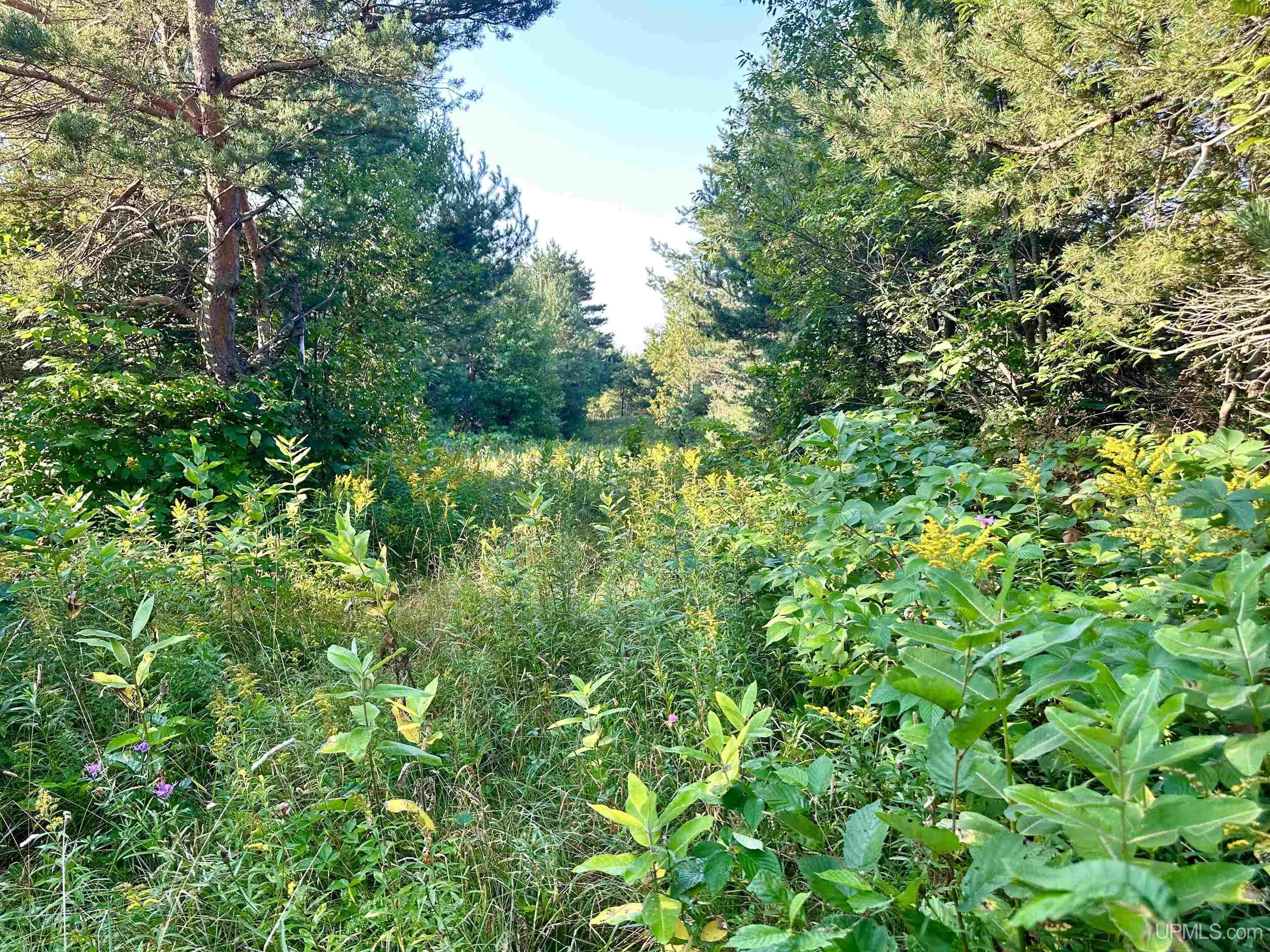 Tbd Crestview Road Ironwood, MI 49938 - Photo 28 of 49
