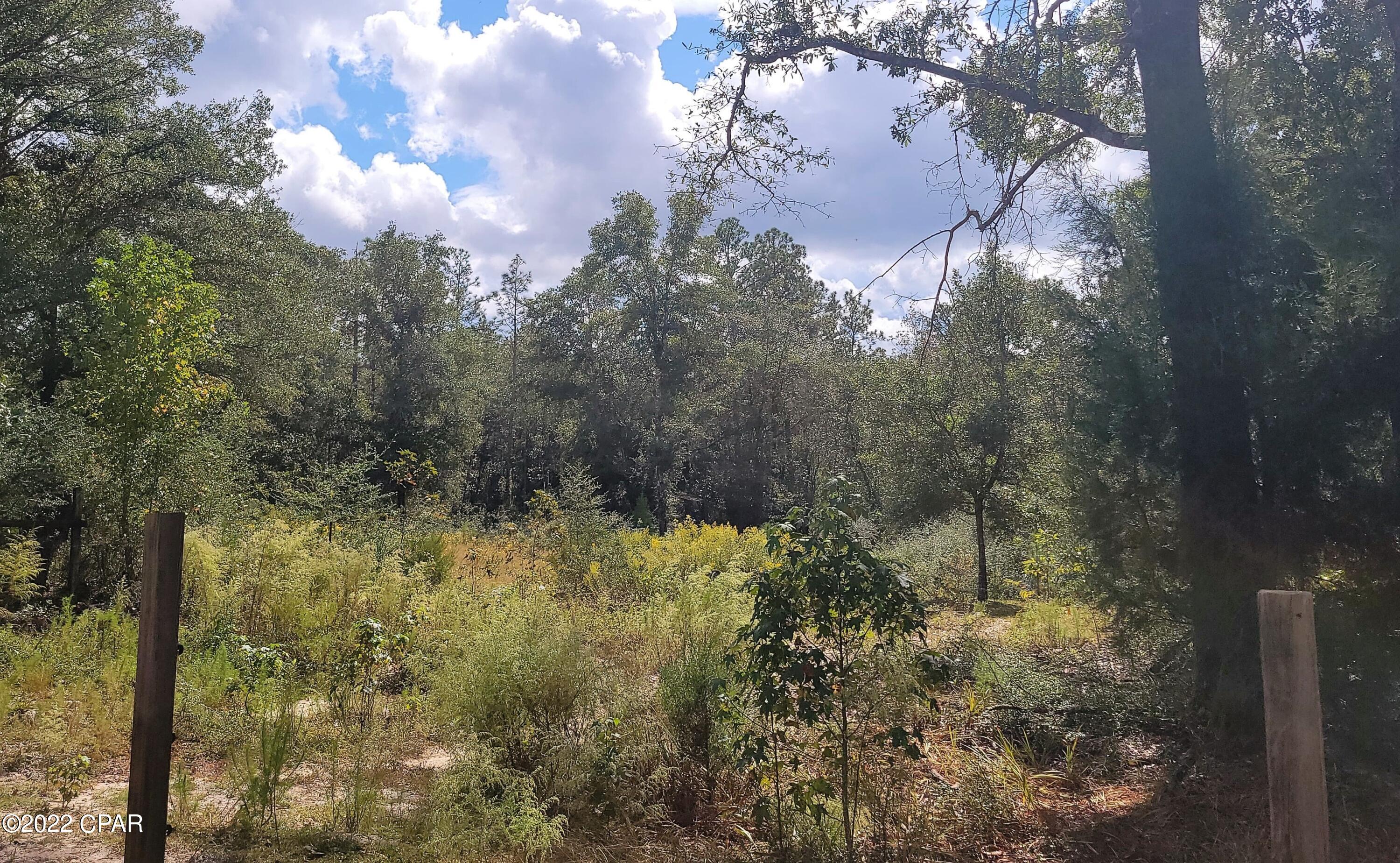 537 Hero Road Chipley, FL 32428 - Photo 36 of 37
