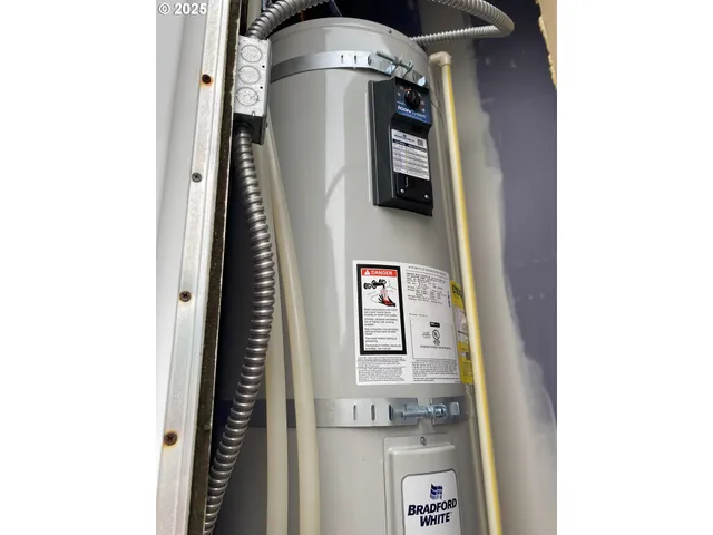 a plant with lots of flowers