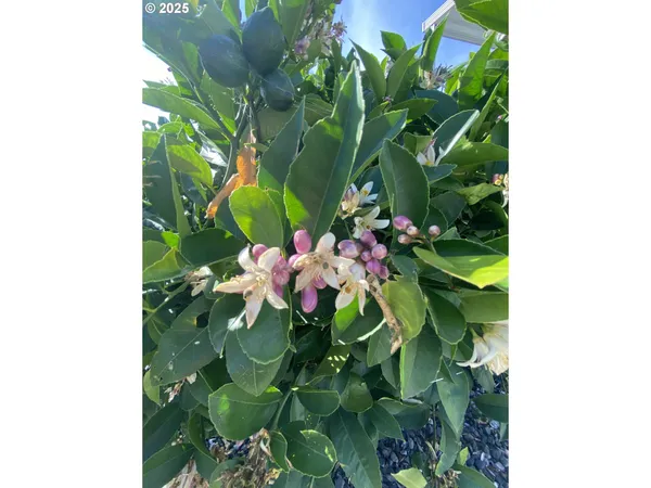 $159,500 | 98042 West Benham Lane, Unit 15, Brookings, OR 97415