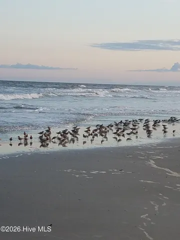 $735,000 | 3 Dare Street, Ocean Isle Beach, NC 28469