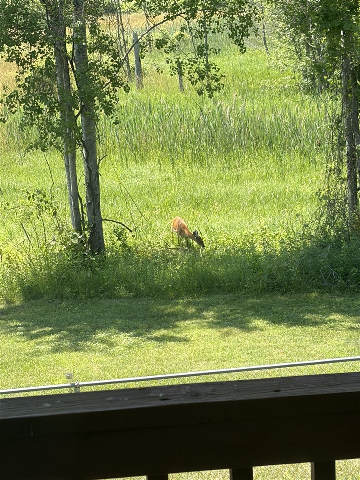 301 South Gordon Road Scottville, MI 49454 - Photo 29 of 41 Gallery Image 29