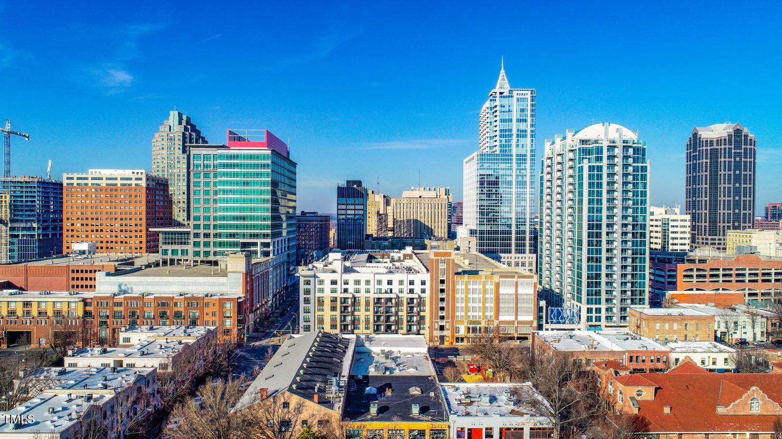 1425 Rollman Farm Road Raleigh, NC 27603 - Photo 12 of 12 raleigh skyline_RSFL