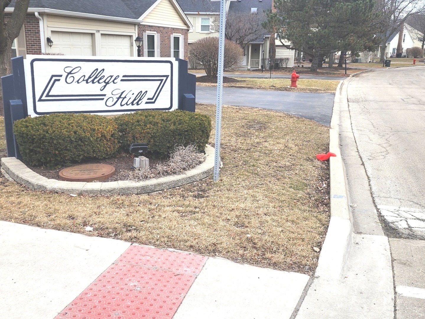 406 College Crossing Rolling Meadows, IL 60008 - Photo 4 of 32