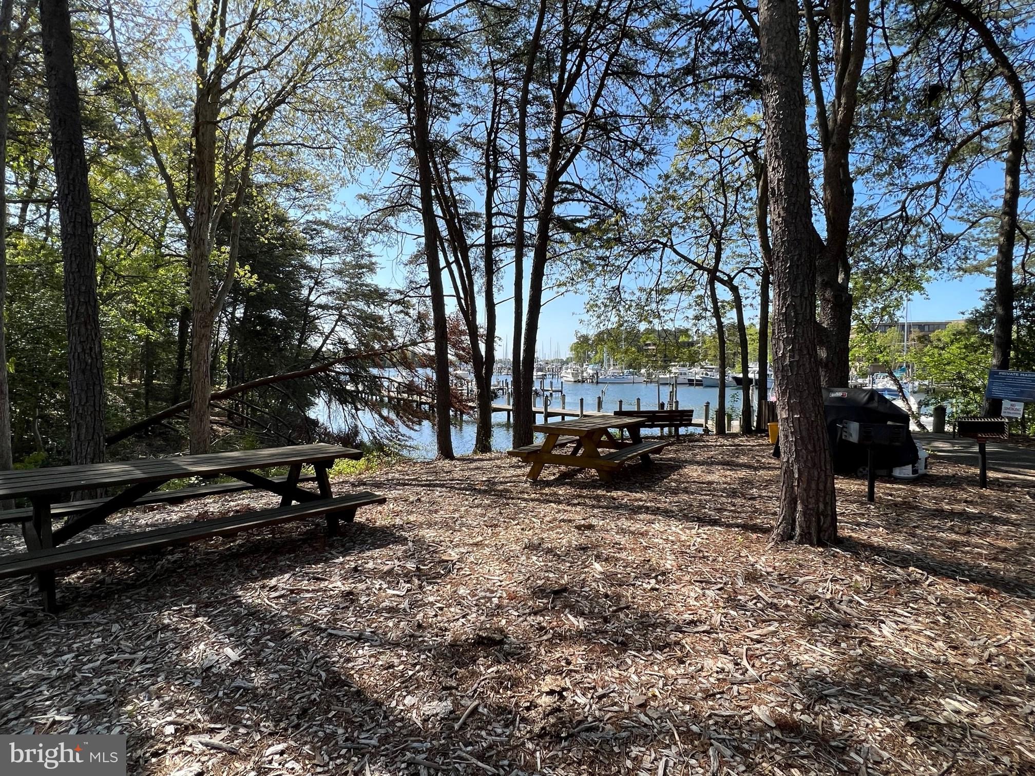 532 Runabout Loop, Unit 532 Solomons, MD 20688 - Photo 29 of 32 Picnic area with grills