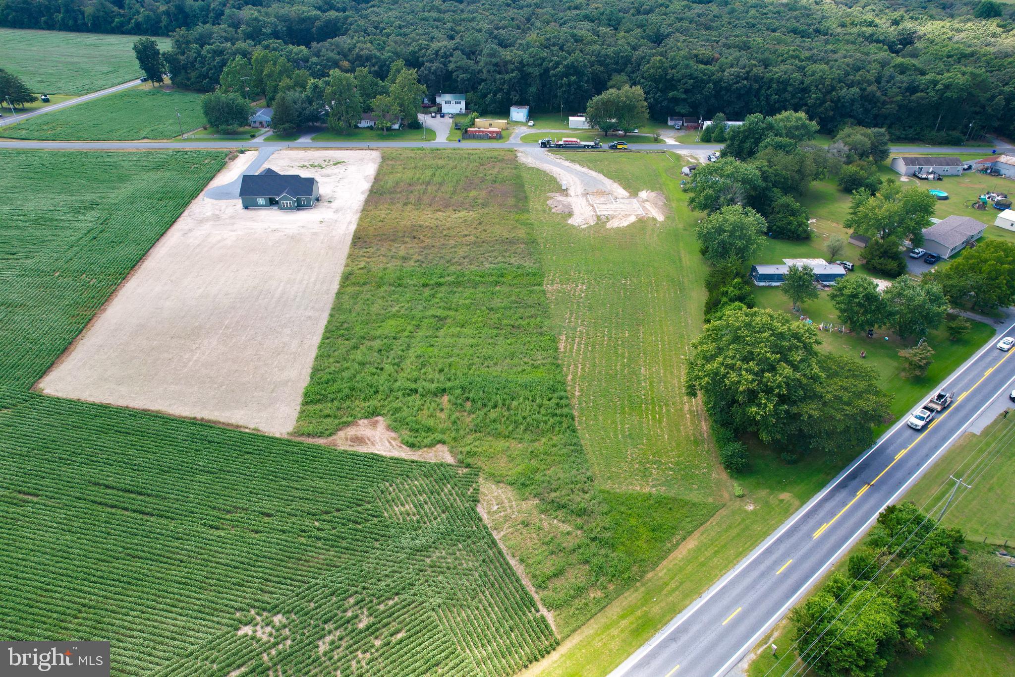 2 Deer Forest Road Bridgeville, DE 19933 - Photo 3 of 10 a view of a yard with potted plants