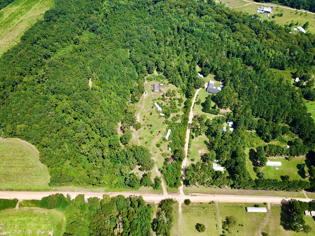 4739 Wallace Buie Road Columbia, AL 36319 - Photo 15 of 54