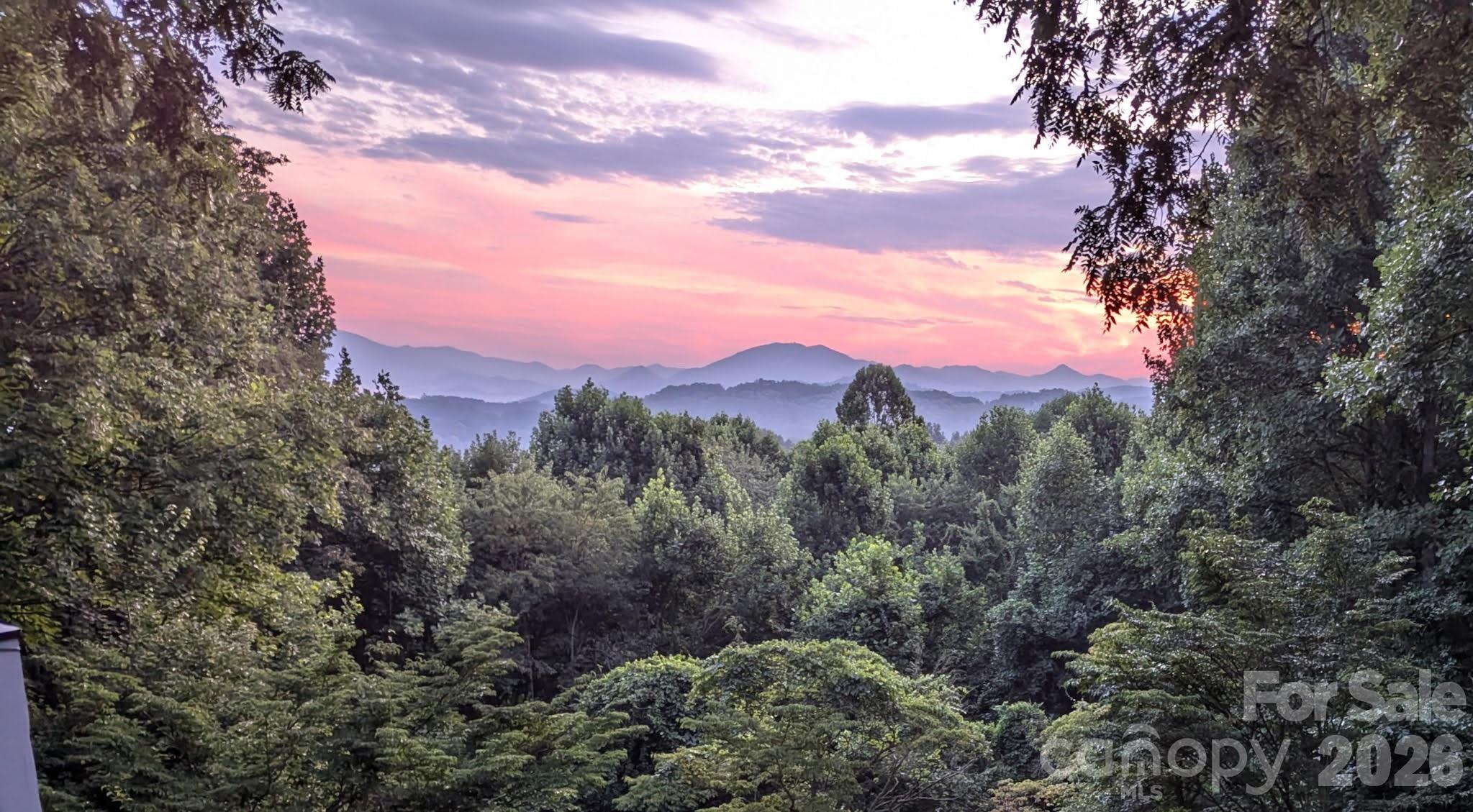 297 Ridge Road Waynesville, NC 28786 - Photo 43 of 47 Gallery Image 43