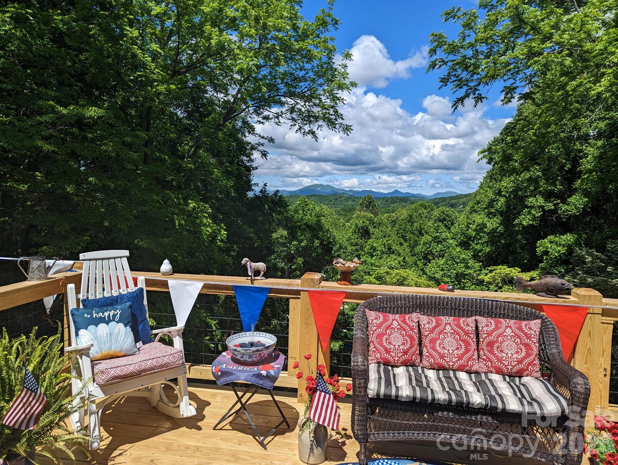 297 Ridge Road Waynesville, NC 28786 - Photo 45 of 47 Gallery Image 45
