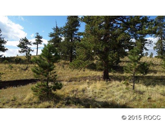 1096 Keechi Road Hartsel, CO 80449 - Photo 1 of 1