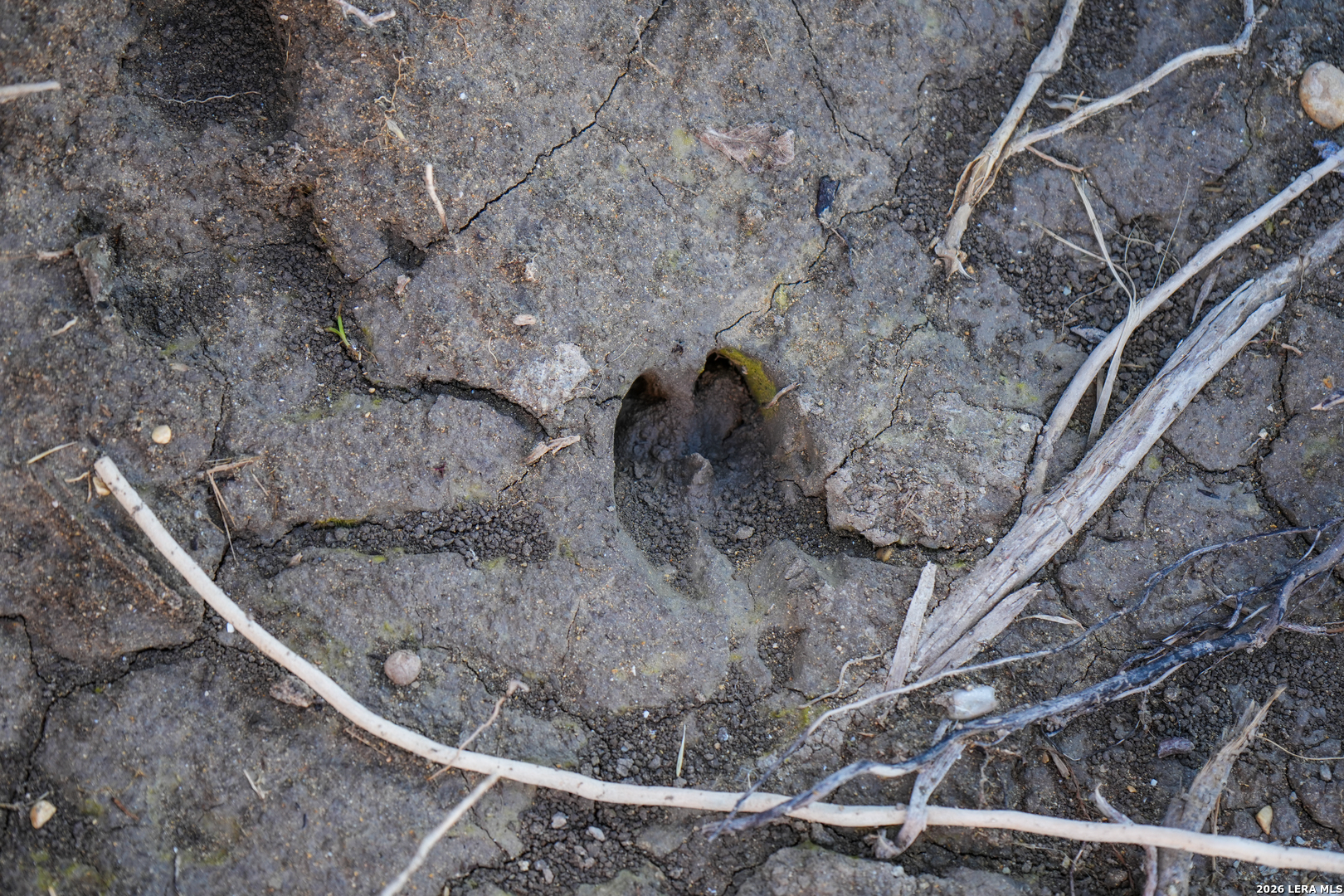 454 Center Point River Road Center Point, TX 78010 - Photo 16 of 18