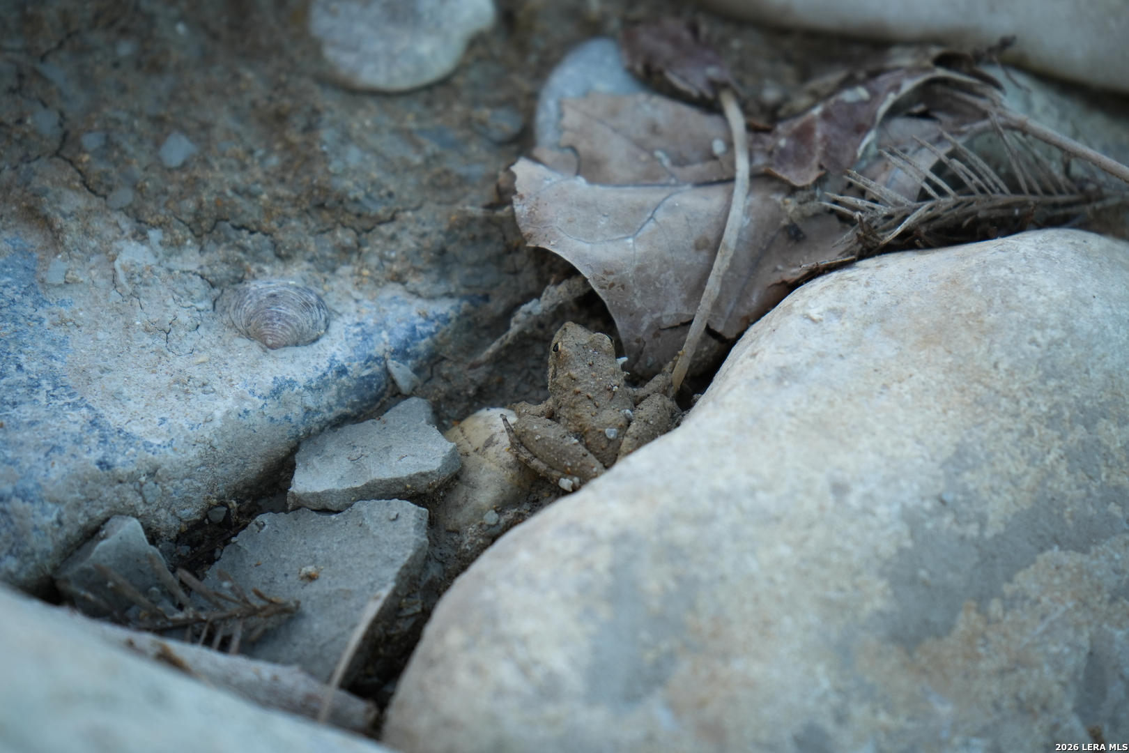 454 Center Point River Road Center Point, TX 78010 - Photo 18 of 18 a view of entryway