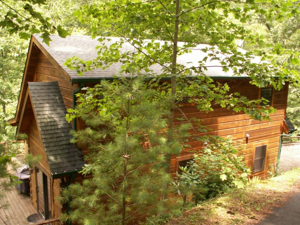 563 Cove Ridge Road Butler, TN 37640 - Photo 29 of 36 REAR VIEW