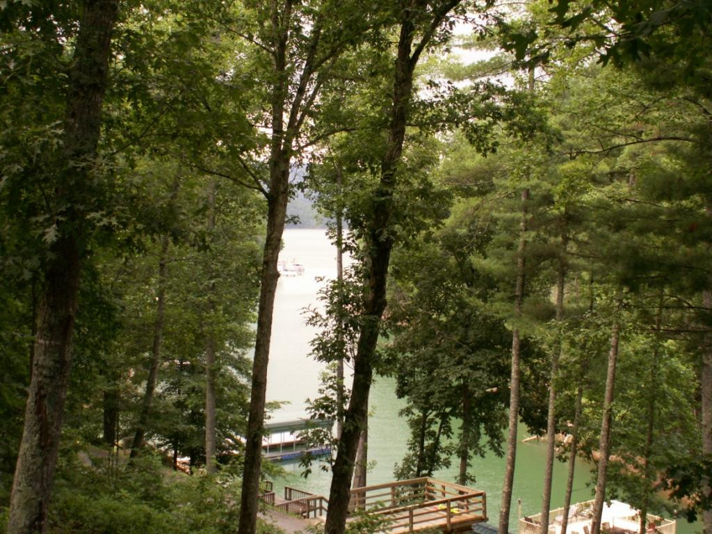 563 Cove Ridge Road Butler, TN 37640 - Photo 31 of 36 LAKE VIEW FROM CABIN