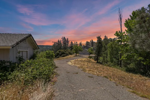 a bathroom with a sink a bathtub and a potted plant