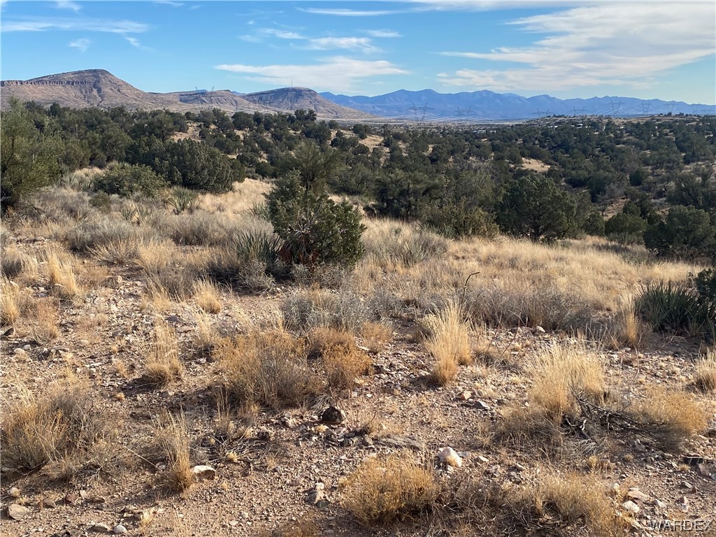 0 North Stephan Road Kingman, AZ 86401 - Photo 1 of 19 View